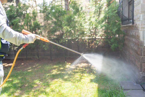 Best Affordable Pest Control Services  in Fairfield Harbour, NC